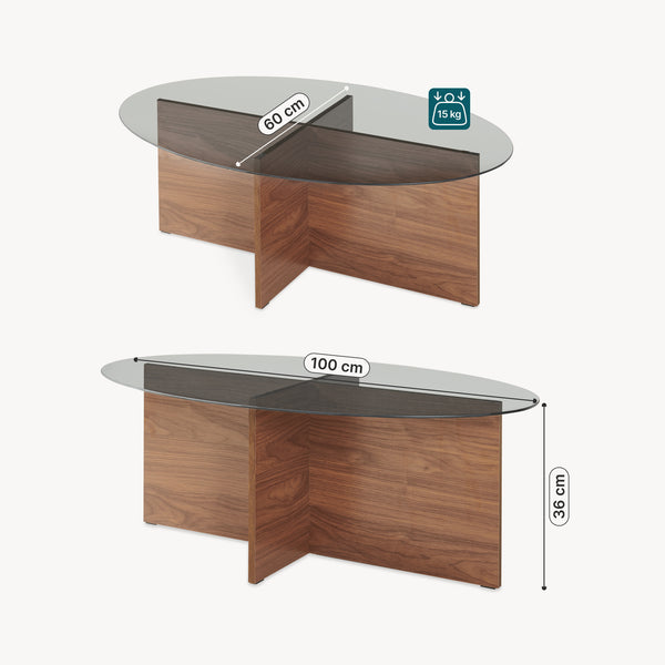 Table basse Viroya 100x60x36 cm aspect noyer/gris [en.casa]