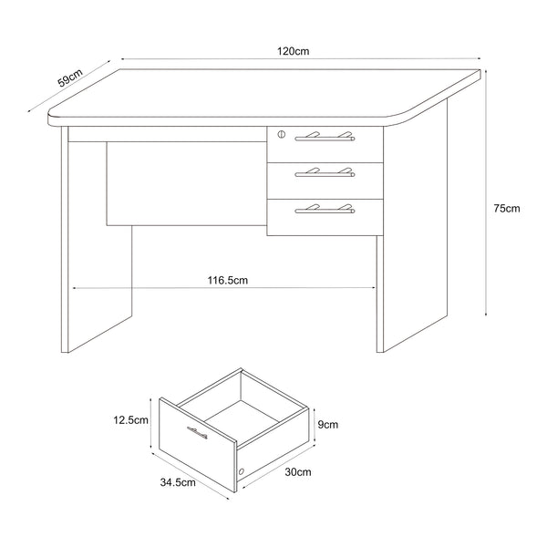 Bureau Ragunda 120 x 59 x 75 cm effet bois foncé [en.casa]