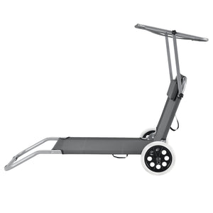 Transat avec Brise-soleil et avec Roulettes Gris Foncé 146 x 52 x 15 cm casa.pro