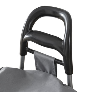 Trolley per la Spesa Carrello Portaspesa Portapacchi a 2 Ruote Telaio Pieghevole Borsa Impermeabile Rimovibile 36 L 30 kg - Grigio Scuro/Nero [en.casa]