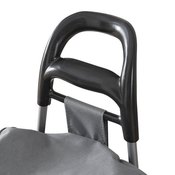 Trolley per la Spesa Carrello Portaspesa Portapacchi a 2 Ruote Telaio Pieghevole Borsa Impermeabile Rimovibile 36 L 30 kg - Grigio Scuro/Nero [en.casa]