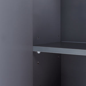 Mobiletto da Parete Overath per Bagno con 2 Ante a Specchio 50x60x20 cm - Grigio [en.casa]