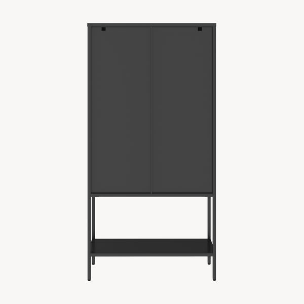 Vitrinenschrank Borshavisa Stahl 2-türig 160x80x35 cm Schwarz [en.casa]