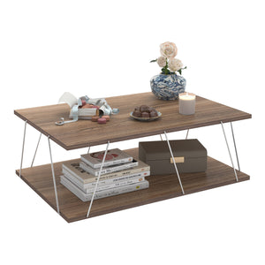 Tavolino da Salotto Tavolino Basso da Caffè 91 x 62 x 30 cm Tavolino Rettangolare con 2 Piani di Appoggio - Vari Colori [en.casa]