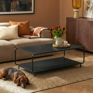Tavolino da Salotto Færder in Acciaio con Doppio Ripiano 115x50x45 cm Nero opaco [en.casa]