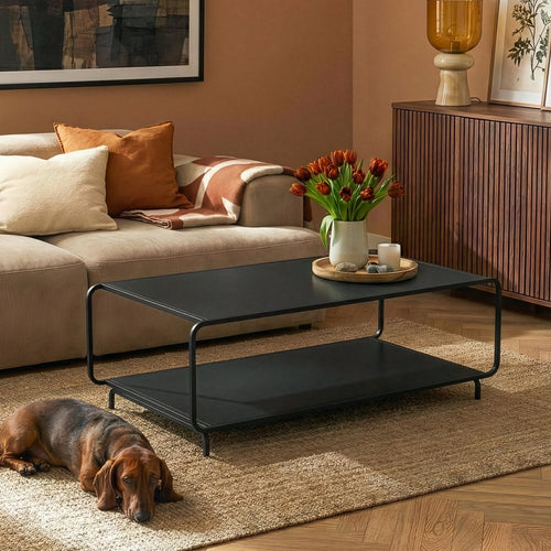 Tavolino da Salotto Færder in Acciaio con Doppio Ripiano 115x50x45 cm Nero opaco [en.casa]