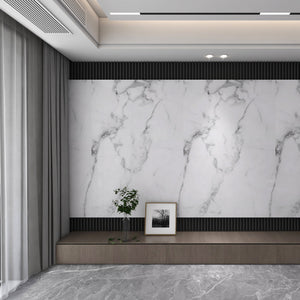 Set de panneaux muraux décoratifs Bladel 120 x 60 cm [neu.haus]