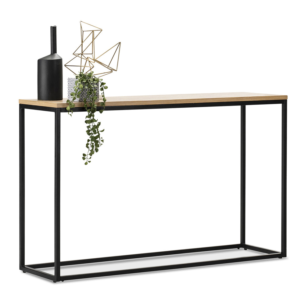 Table console Kittilä 80x100x30cm diff. couleurs [en.casa] - premiumXL