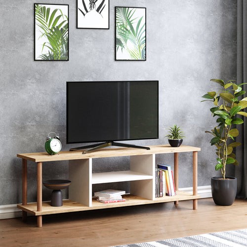 Meuble TV Ærøskøbing avec 2 compartiments de rangement 43x120x29 cm coloris assortis [en.casa] - premiumXL