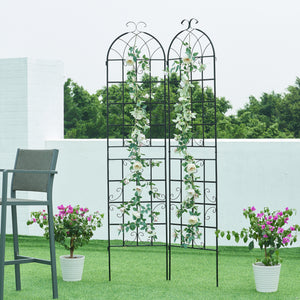 Treillis Barrea lot de 2 [casa.pro] - premiumXL