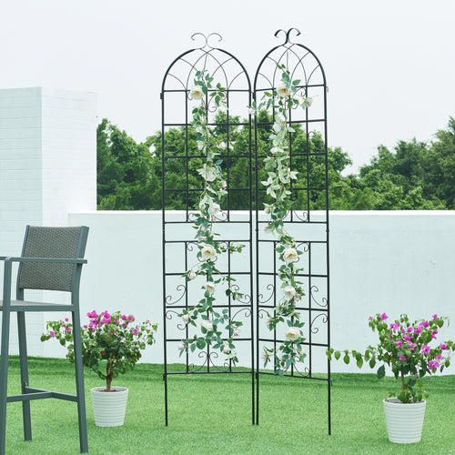 Treillis Barrea lot de 2 [casa.pro] - premiumXL