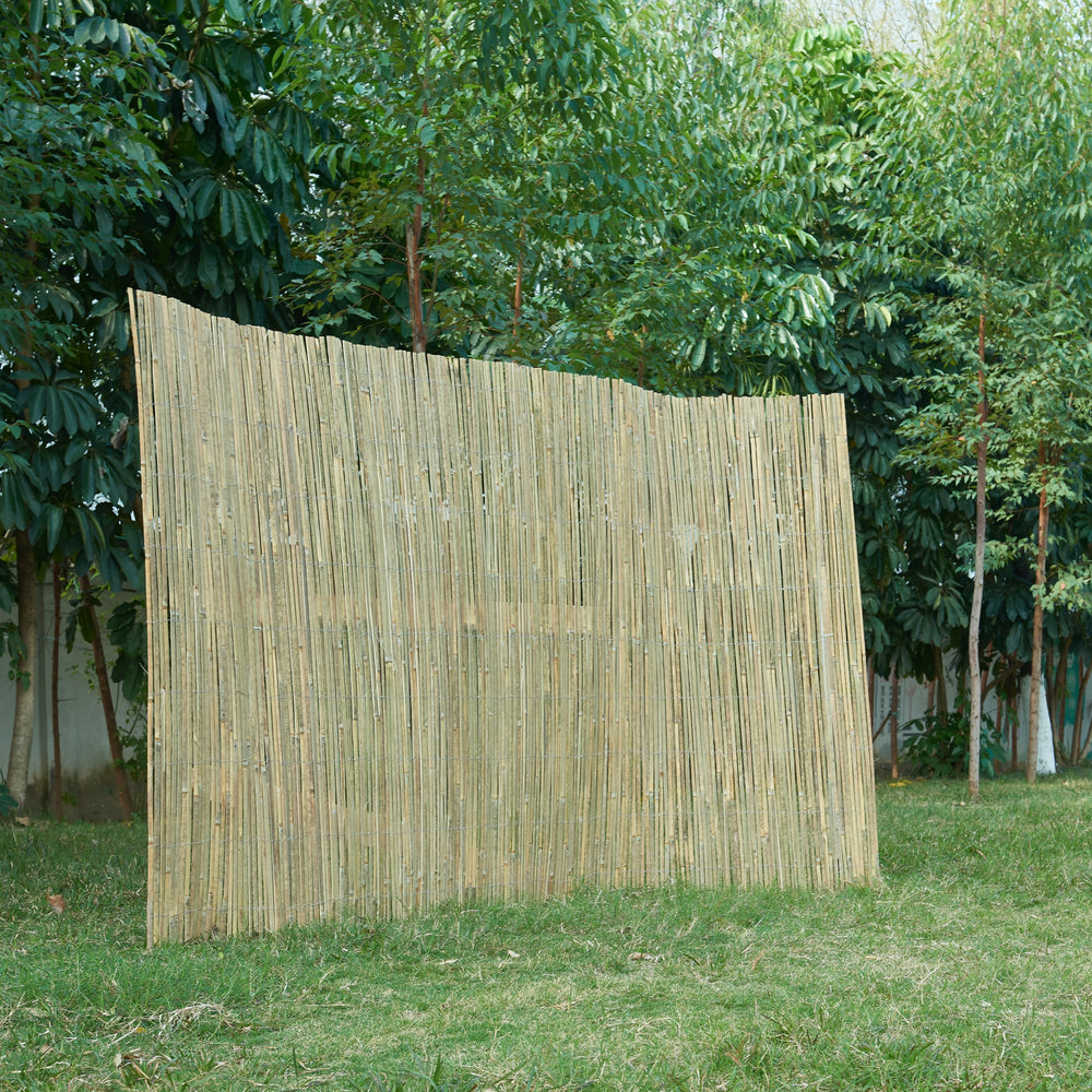 Clôture en bambou Baarle Naturel en différentes tailles [casa.pro] - premiumXL