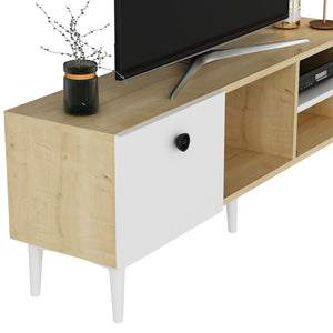 Meuble TV Nannestad à porte avec espace de rangement 45 x 120 x 30 cm [en.casa]