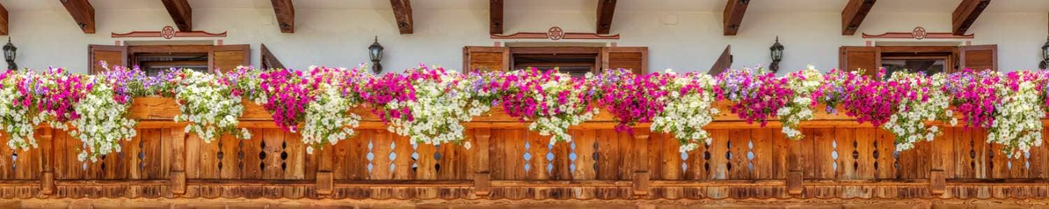 Richte deinen Balkon traumhaft ein!