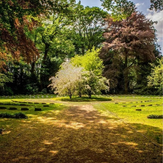 Die Natur bietet dir schon tollen Schatten